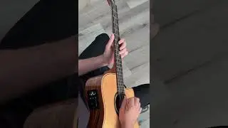 Red Hot Chili Peppers - Californication - Looper - Lag Guitars