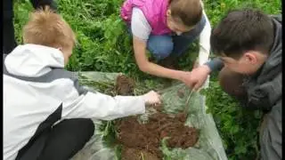 Экомониторинг 7 класс