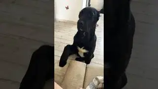 Наш какангел🥰