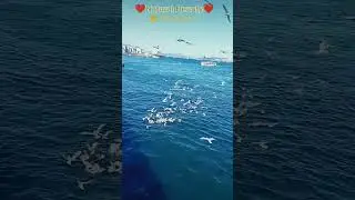 Natural beauty of Istanbul Turkey