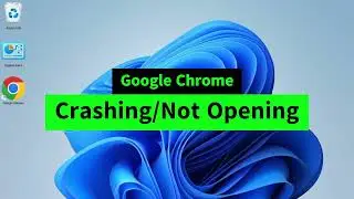 Fix Google Chrome has stopped working, not opening, crashing issues in Windows 10 and Windows 11