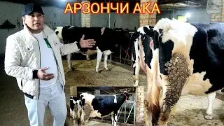 АРЗОНЧИ  АКАНИ  ФЕРМАСИДА НИМА ГАПЛАР☎️991054707☎️974120909