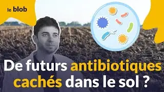 Trouver des nouveaux médicaments dans le sol ? Aidez la science en vacances cet été