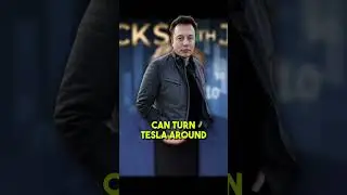 Is TSLA Dead? 💀