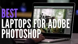Best Laptops for Adobe Photoshop in 2022 [Top 5]