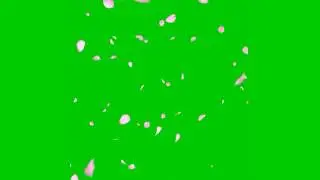 Green screen flower animation HD fx effect with sound #6. Flowers petals falling Green screen.