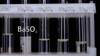 Выпадение и растворение осадков солей бария / Precipitation and dissolution of barium salts