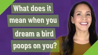What does it mean when you dream a bird poops on you?