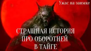 СТРАШНЫЕ ИСТОРИИ ПРО ОБОРОТНЕЙ В ТАЙГЕ / СТРАШНЫЕ ИСТОРИИ ПРО ОБОРОТНЕЙ / ВОЛК / ДЕРЕВНЯ / ЛЕС