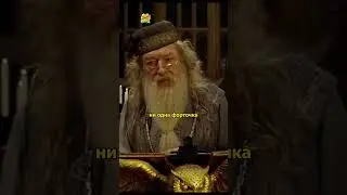 Дамблдор про отношения/Озвучка DL STUDIO 