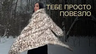 Тебе просто повезло