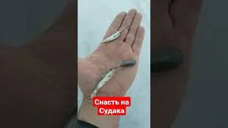 Судак на Тюльку. монтаж оснастки
