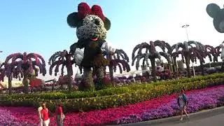 Сад чудес в Дубае (Dubai Miracle Garden) – самый большой цветочный парк мира