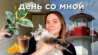 день со мной | я теперь котситтер, новый член семьи и бамбл тоник 🧋🌱🐈