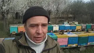 Подготовка к главному взятку.  Результат стимуляции