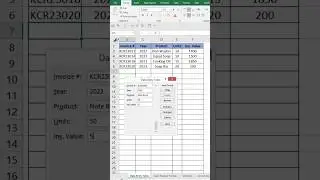 Excel Data Entry Form 