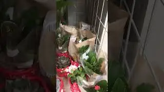 цветы в магните 