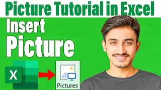 how to Insert Picture in Excel | Excel Picture Tutorial