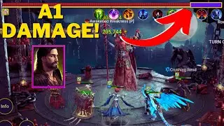 Amius Showcase: Fenax A1 Damage Carry & Gear Preset Builds! Raid Shadow Legend
