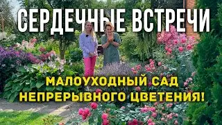 Проект Сердечные встречи. Людмила Кудасова: как создать малоуходный сад. Секреты цветущего сада.