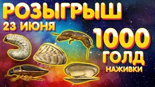 🎁 Розыгрыш 1000 голд наживки 🎯 23 июня 🎣 Русская Рыбалка 4