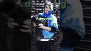 Letting LazarBeam’s DOGS pick my dropspot! 🐶