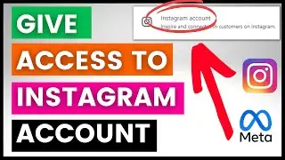 How To Give Access To Instagram Business Account? [in 2024]