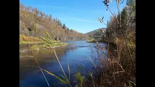 Моя душа настроена на осень...  - В музыке Сергея Чекалина 