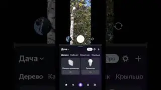 18 сентября 2024 г.