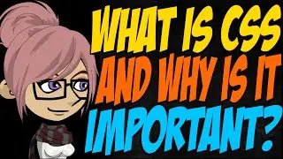 What is CSS and Why is it Important?