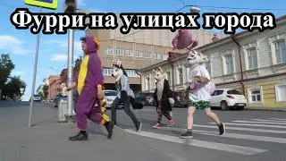 Фурри на улицах города