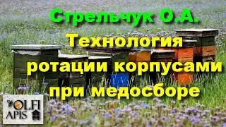 #Стрельчук