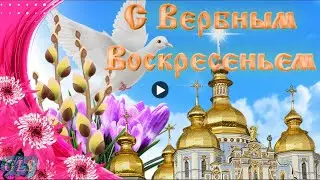 Праздник Вербное Воскресенье Happy Palm Sunday Красивое поздравление С Вербным Лучшая видео открытка