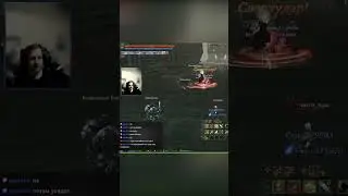 Кем начать играть в Lineage II Assassin если нравится Кот и ФС? 