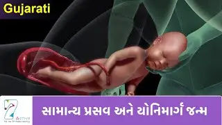 NORMAL LABOR & VAGINAL BIRTH |  Gujarati