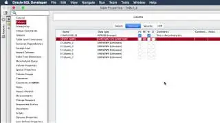 Defining Columns and Attributes QUICKLY in Oracle SQL Developer Data Modeler