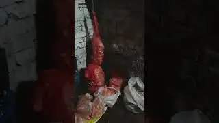 Где и как я храню мытую морковь зимой