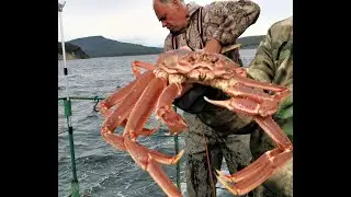 Морская прогулка к острову СтАричков на Камчатке: сивучи и киты, крабовое сафари и рыбалка