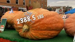 The Circleville Pumpkin Show 2023