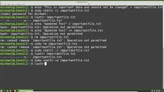 Linux Command Line (29) File Attributes