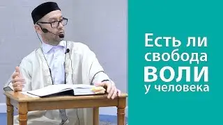 Есть ли свобода воли у человека