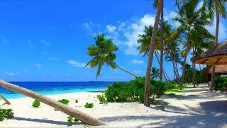 Maldives - Walk on Reethi Faru, Bio Luxury Resort - 4K video - DJI Osmo