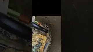 Maggots in the Sink?! #cleaning #cleaningvideo