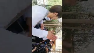 Бо иштироки Навой Чоми. дабалист якчи чкидай да бовар накни бдро бин🤣🤣🤣