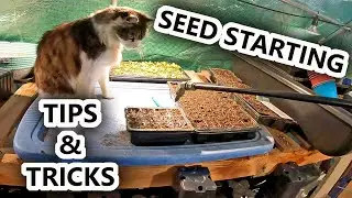 Seed Starting TIPS & TRICKS To Help You Grow AMAZING CROPS @ Home