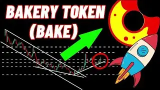 BakeryToken (BAKE) Crypto Coin Price Analysis And Prediction