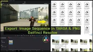 Export TARGA & PNG Sequence DaVinci Resolve | Create TARGA & PNG  Image Sequence  DaVinci Reolve