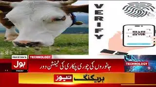 BOL TV - Complete Demonstration Animal Biometrics