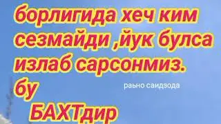 СОКИН КУШИКЛАР