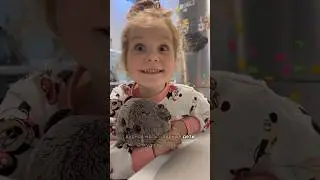 Продолжи пословицу…